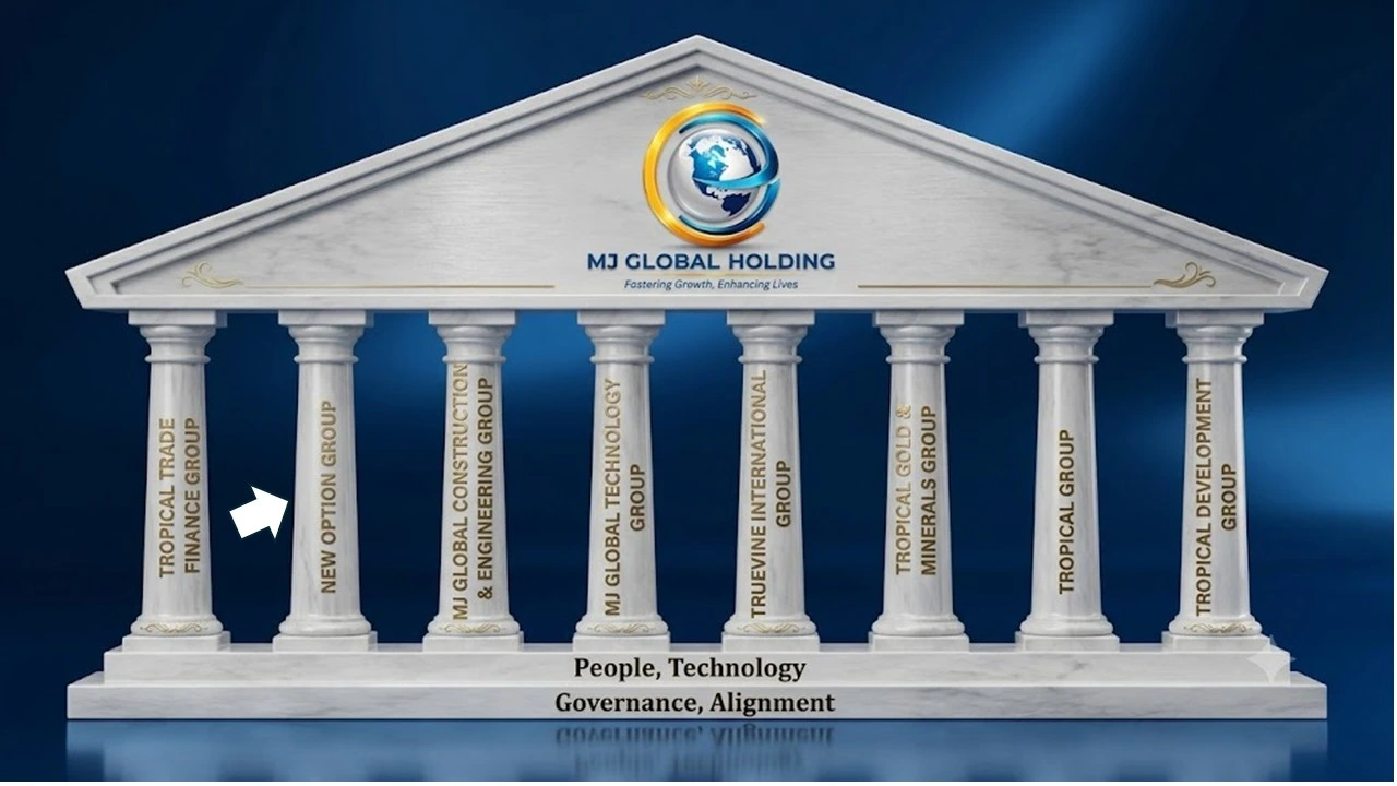 MJ Global Holding Structure